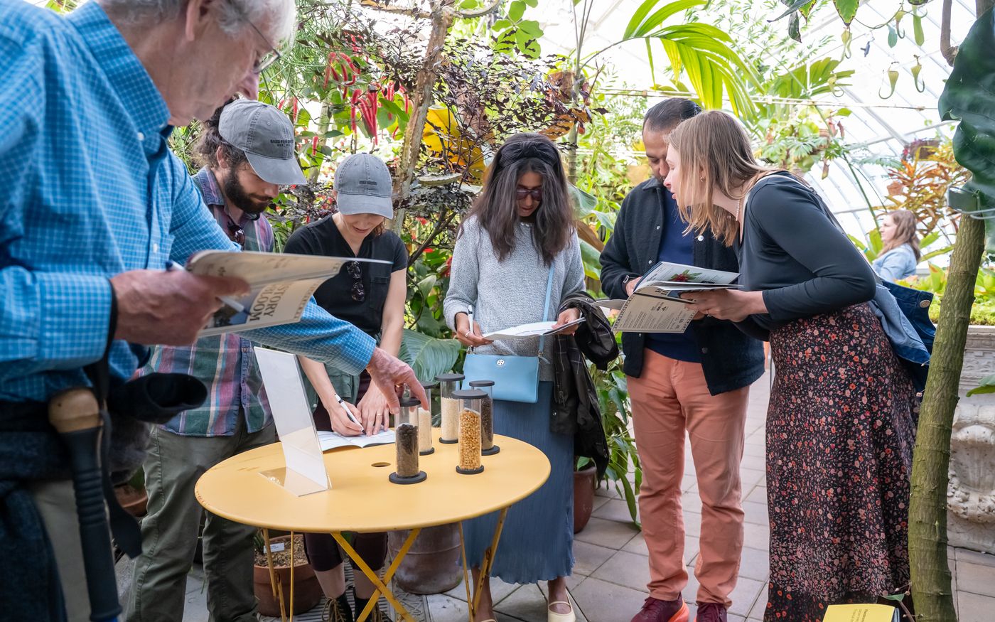 Visitors gathered around a table with seed cylinders and puzzle booklets inside the Conservatory of Flowers greenhouse during History in Bloom.